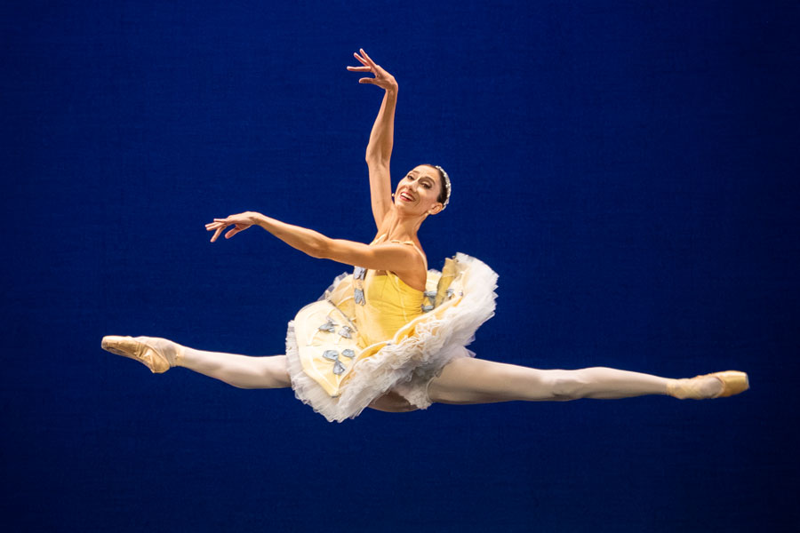 Divertimento Nr. 15, Ioanna Avraam © Ashley Taylor