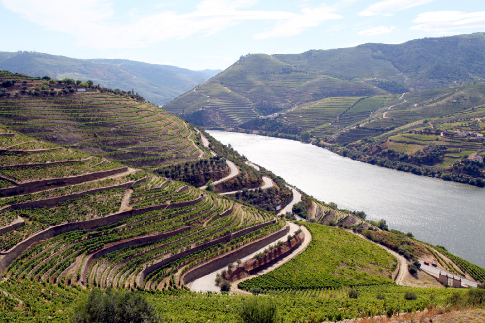 Weinregion Alto Douro Portugal © Alliance For Nature
