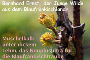 Weingut Bernhard Ernst Titel 300