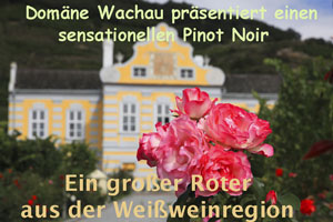 Rote Wachau Titel 300