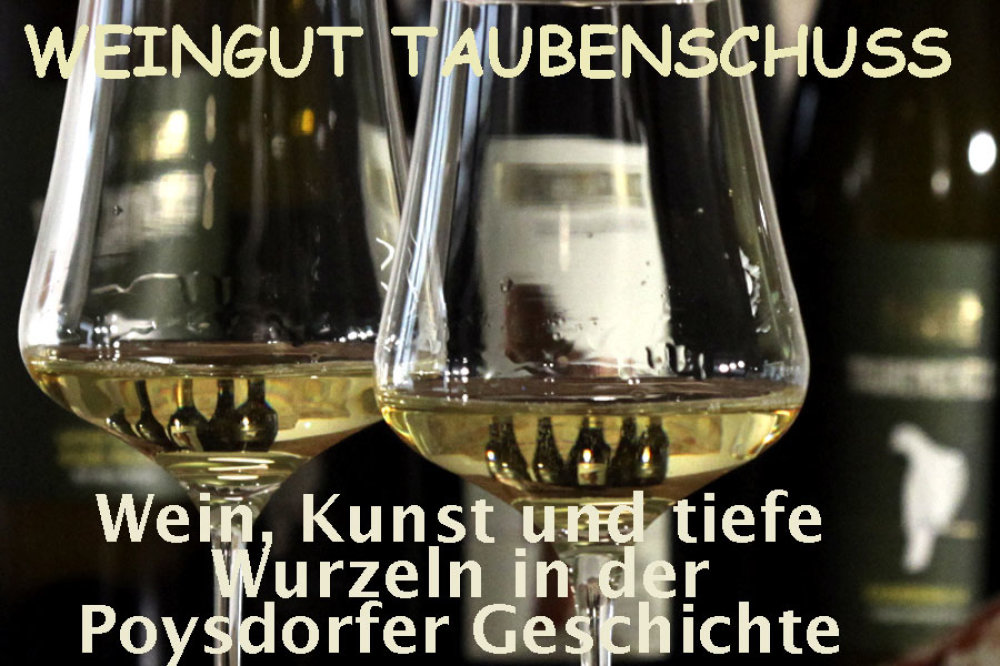 Weingut Taubenschuss Titel 900