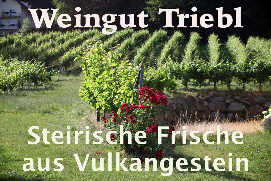 Weingut Triebl Titel 900