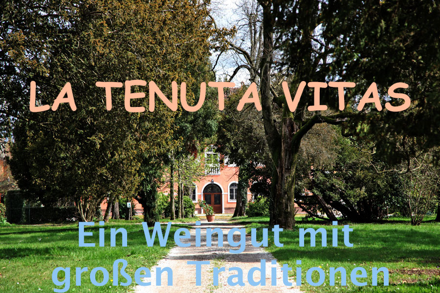 La Tenuta Vitas Titel 900