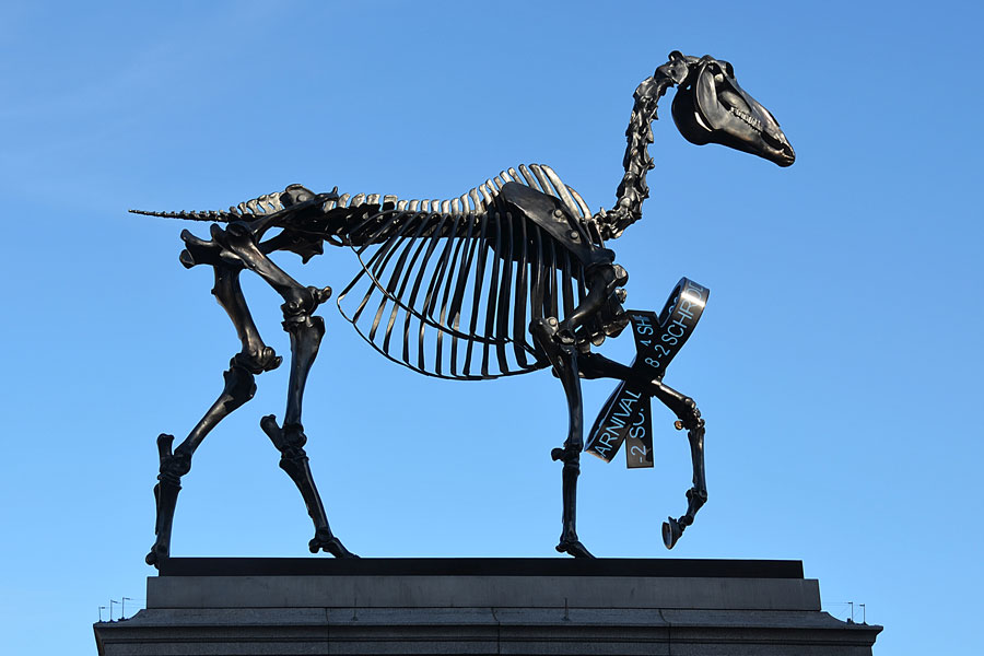 Hans Haacke, Geschenkter Gaul, 2014 © Hans Haacke, Bildrecht, Wien 2025