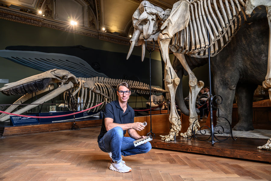Dr. Pascal Querner auf Schädlingsjagd © NHM Wien, Christina Rittmannsperger 