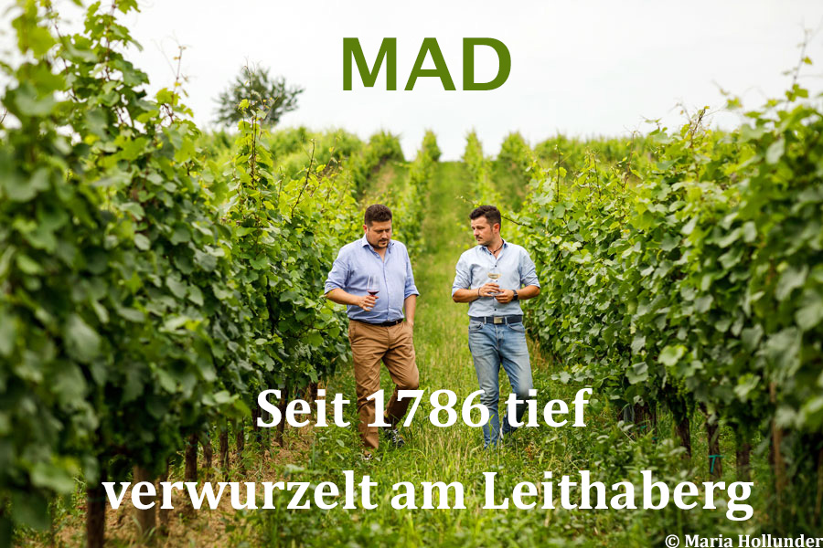 Weingut MAD © Maria Hollunder