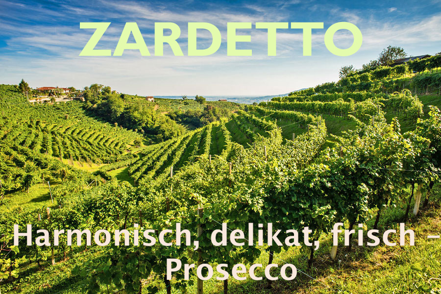 Weingärten in San Mor (Conegliano) © Zardetto