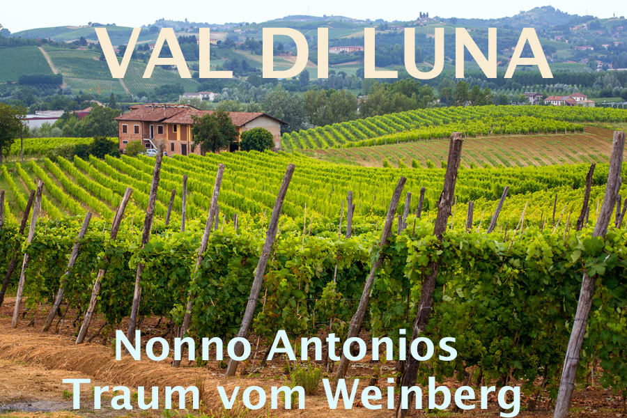 Weingärten nahe Monferrato © Val di Luna