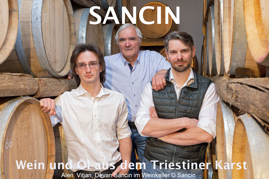 Alen, Vitjan, Devan Sancin im Weinkeller © Sancin