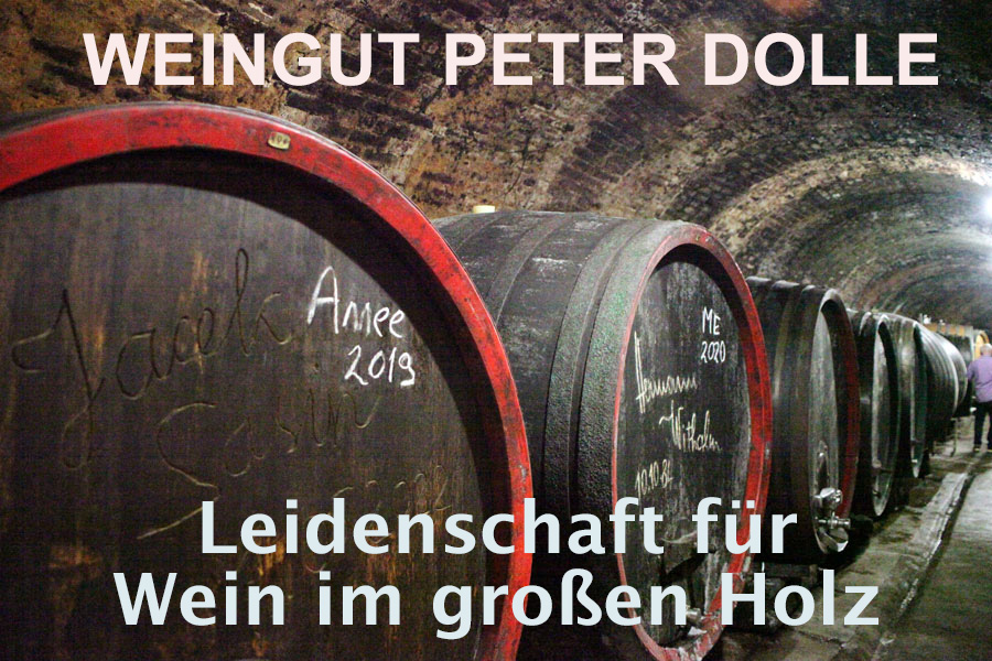Weingut Peter Dolle, Titelbild