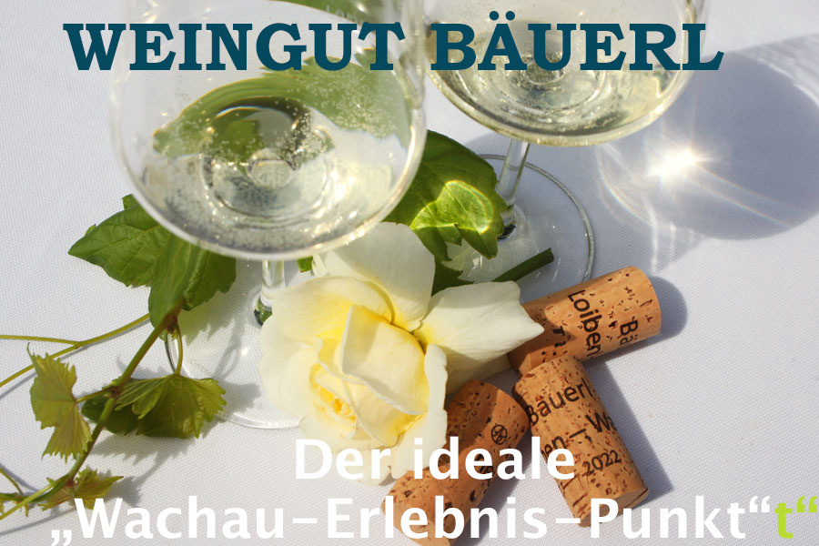 Weingut Bäuerl, Titel