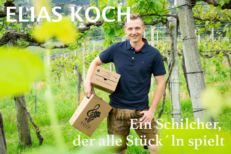 Elias Koch in seinem Schilcherweingarten © Schilcherweinbau Koch