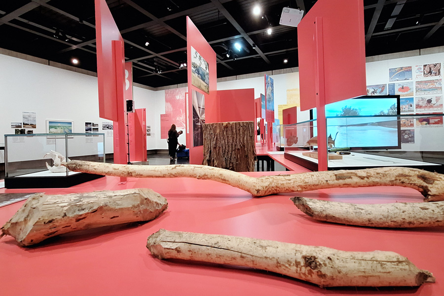 Die Donauinsel, Ausstellungsansicht Die Donauinsel, Ausstellungsansicht