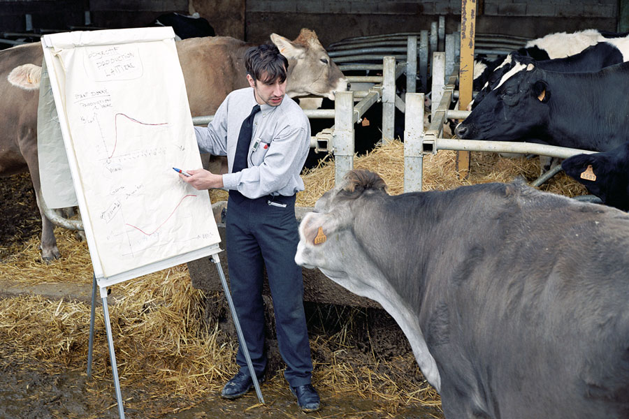 Thierry Boutonnier, Comment expliquer les objectifs de la production laitière aux vaches, 2005 Thierry Boutonnier, Comment expliquer les objectifs de la production laitière aux vaches, 2005