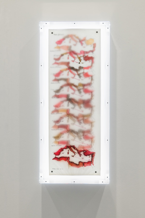 Claudia Pagès Rabal Agrimensura. Madleen, Land Borders, 2025, Foto: Klaus Pichler / mumok