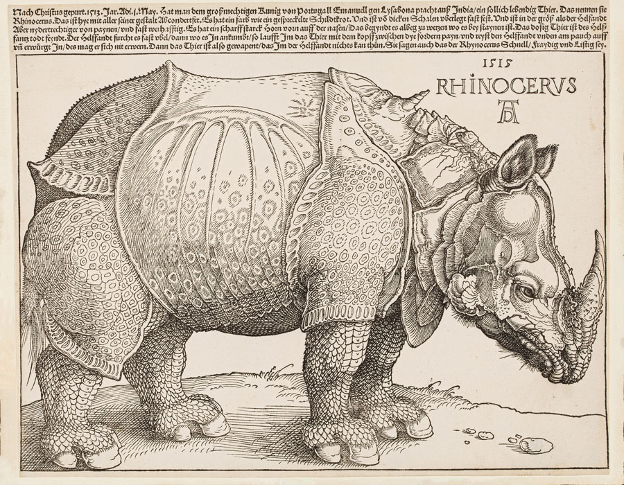 Albrecht Dürer (1471–1528) Das Rhinozeros 1515 © Public Domain