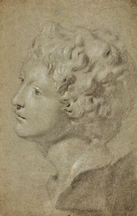 Michaelina Wautier, Studie einer Büste des Ganymed Medici © Privatsammlung  Foto: Antwerpen