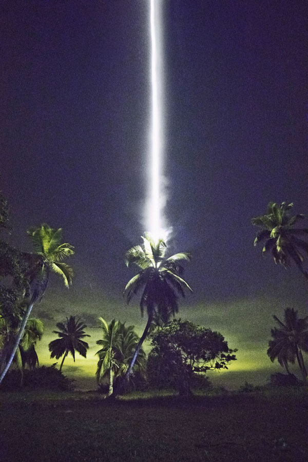 Julius von Bismarck, Talking to Thunder (Palm Tree)