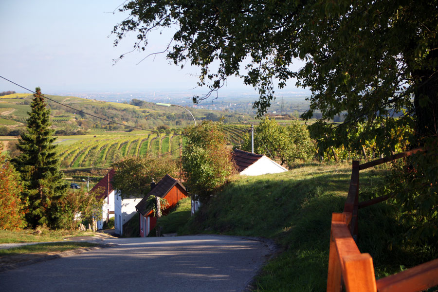 Kellergasse im Weinviertel