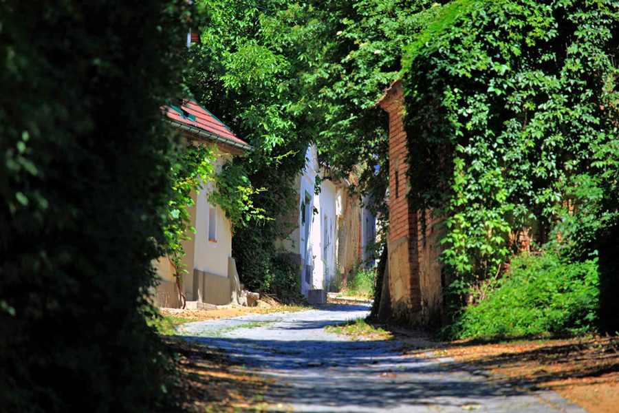 Eine schattige Kellergasse lädt zum DAC-Wandern ein.