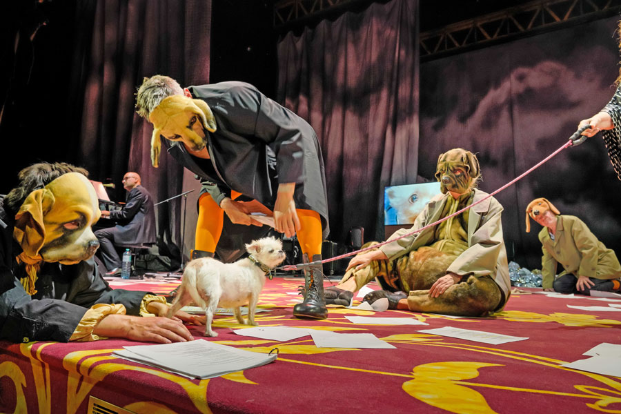 Unter Tieren, Ensemble als Hunde © Arno Declair Unter Tieren, Ensemble als Hunde © Arno Declair