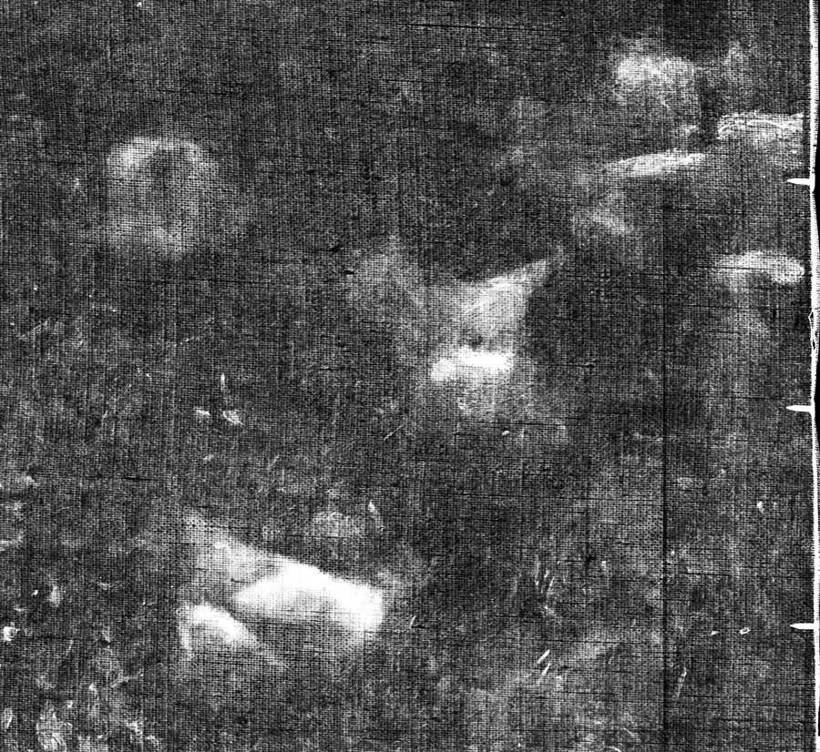  Gustav Klimt, Nach dem Regen (Detail), 1898, Röntgenaufnahme  Foto: Belvedere, Wien 
