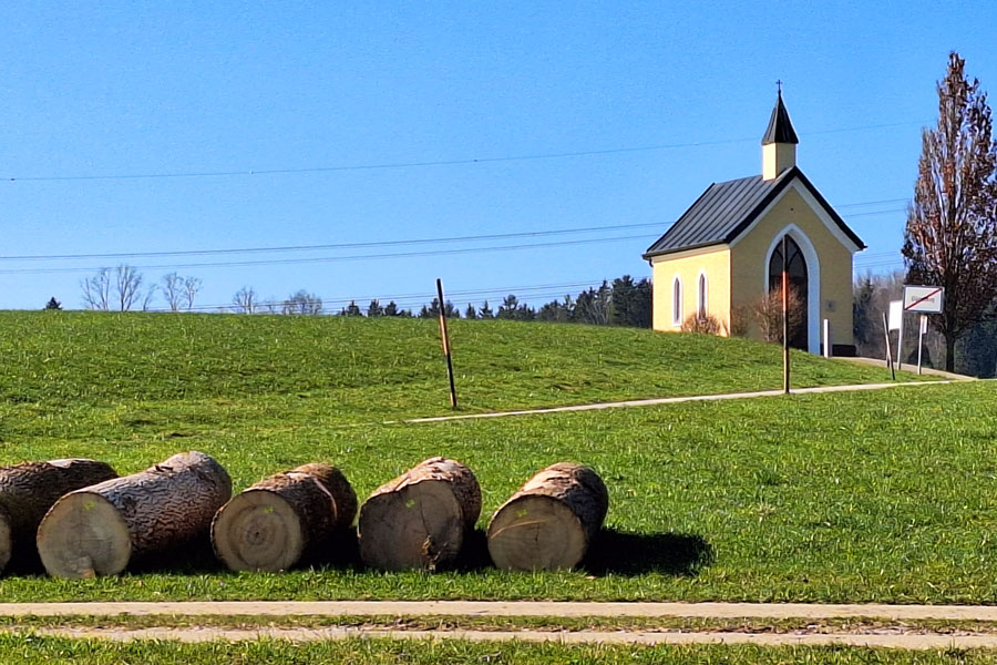 Wiesen-Idylle im Flachgau