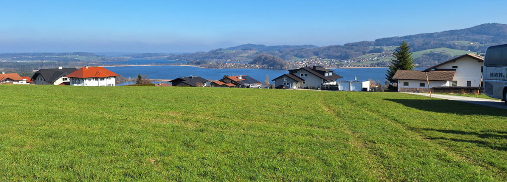 Blick auf das Trumer Seenland über grüne Wiesen