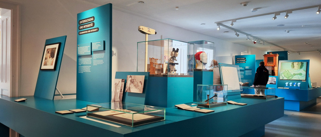 NÖ Landesausstellung 2026, Ausstellungsansicht