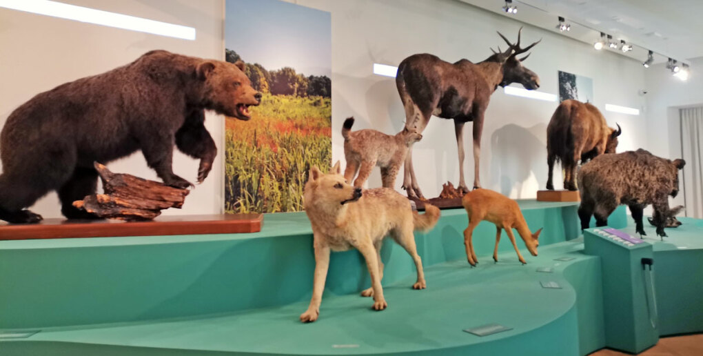 Marchfeld Geheimnisse Ausstellungsansicht