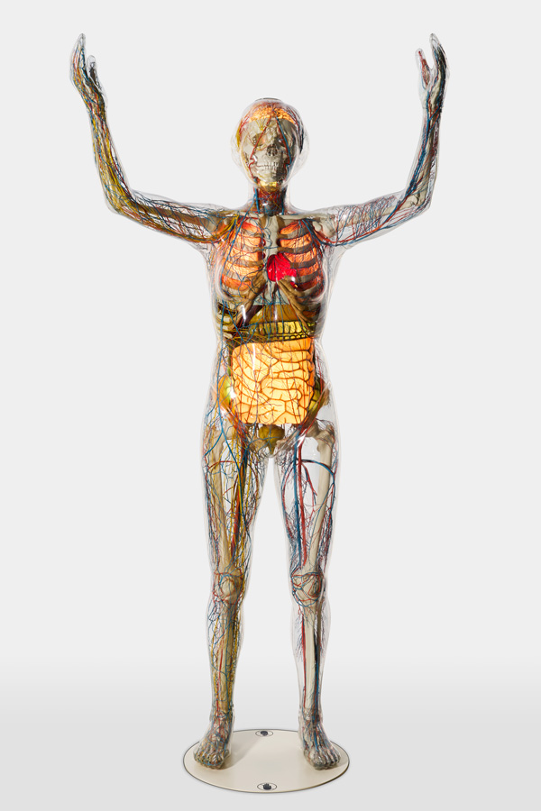 Die gläserne Fraui © Stiftung Deutsches Hygiene-Museum Dresden Foto: Gunter Binsack 