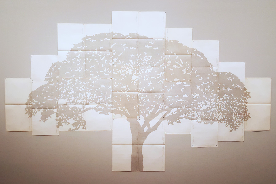 Johanna Calle, Perimetros (Ceiba), Albertina Wien, Foto: K&W Johanna Calle, Perimetros (Ceiba), Albertina Wien, Foto: K&W