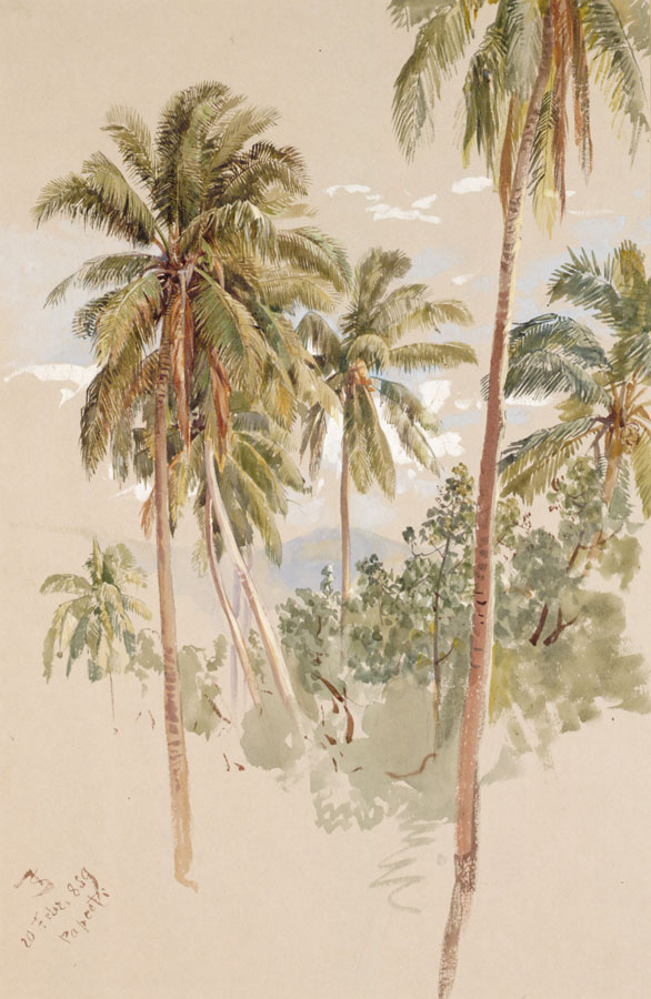 Josef Selleny Kokospalmen auf Tahiti, 1859 © Foto: ALBERTINA, Wien