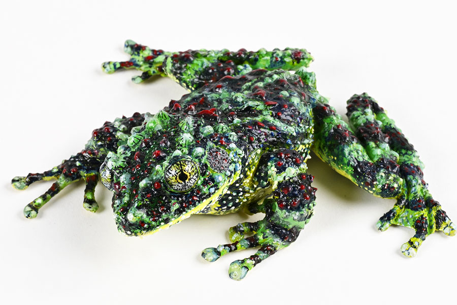 Modell eines Vietnamesischen Moosfrosches (Theloderma corticale) © NHM Wien, Chloé Potter 