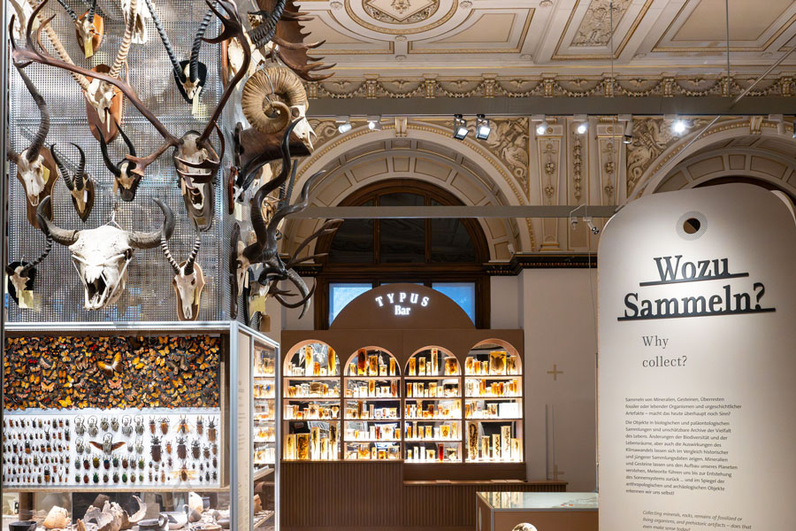 Gutes Sammeln – Böses Sammeln © NHM Wien, Chloe Potter