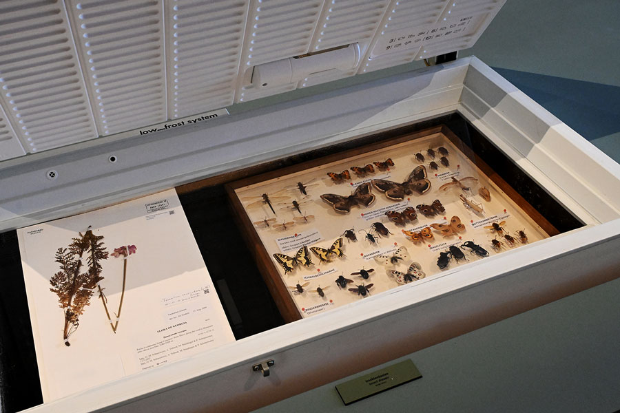 Hier nagt nicht nur der Zahn der Zeit, Ausstellungsansicht © NHM Wien, Chloé Potter