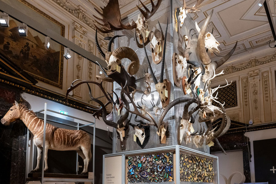 Gutes Sammeln – Böses Sammeln, Ausstellungsansicht © NHM Wien, Chloe Potter