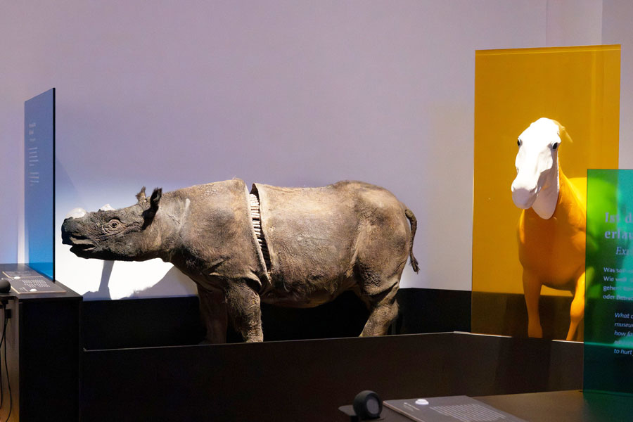 Gutes Sammeln – Böses Sammeln, Ausstellungsansicht © NHM Wien, Chloe Potter