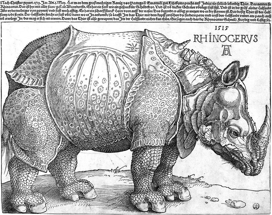 „Rhinocerus“ von Albrecht Dürer, Holzschnitt aus dem Jahre 1515 © The Metropolitan Museum of Art