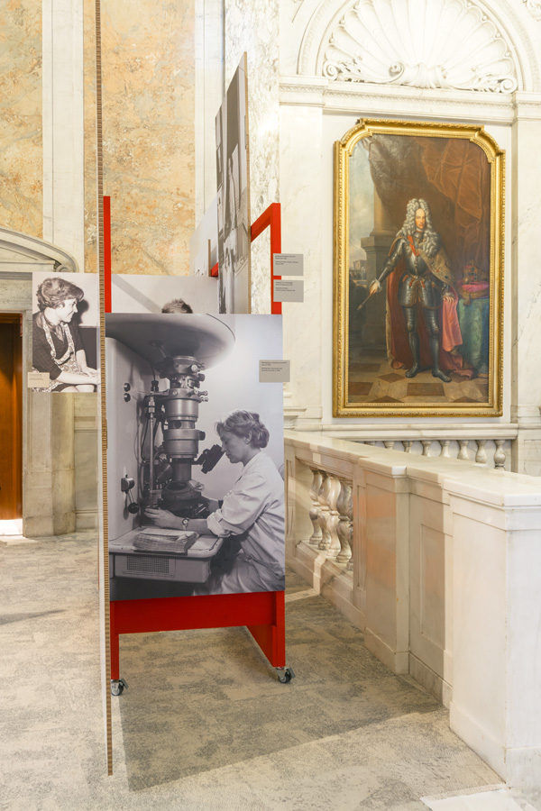 Alles Arbeit, Austellungsansicht © Klaus Pichler/hdgö