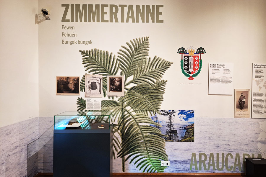 Kolonialismus am Fensterbrett, Ausstellungsansicht