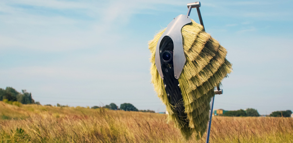 Nobody Told Me Rivers Dream © Superflux