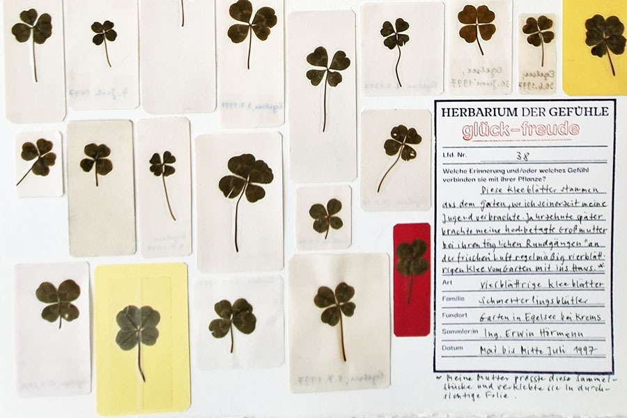 Regula Dettwiler, Beispiel aus dem Herbarium der Gefühle