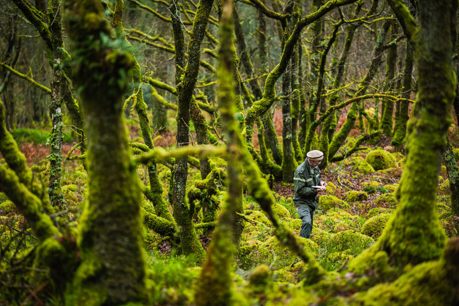 Aufnahme des Regenwaaldes © Emmanuel Berthier