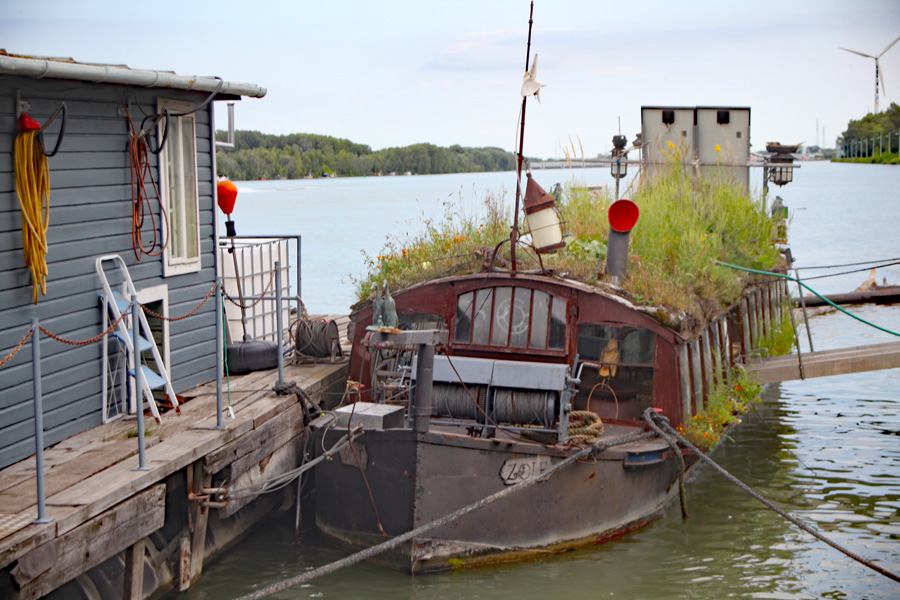 Die letzte Fähre vom Donaukanal, das Blumenschiff Zoie