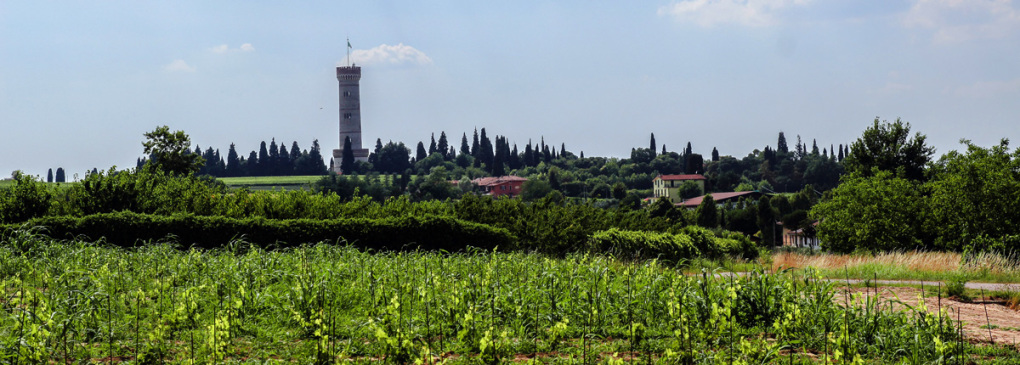 Lugana Landschaft mit dem Turm San Martino © Cantina Ceresa