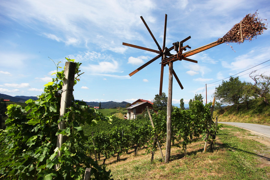 Klapotetz, das Wahrzeichen des steirischen Weines