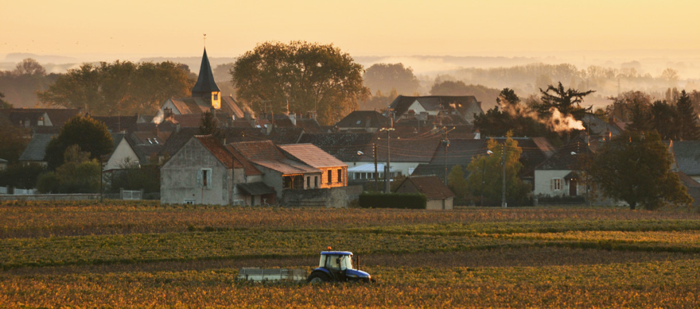 Weinlandschaft im Elsass - Illustration aus dem besprochenen Buch