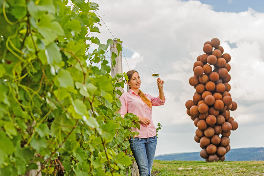 Weinweg in Langenlois mit Traube von Heimo Zobernig © Niederösterreich Werbung/ Rita Newman