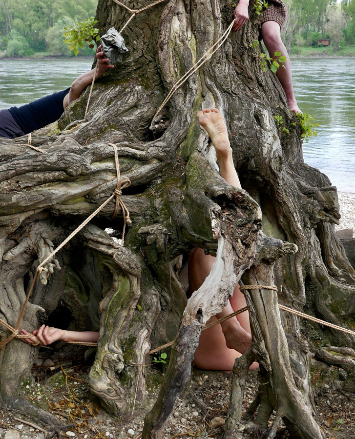 Mit der Donau, Foto: Lisa Horvath Mit der Donau, Foto: Lisa Horvath
